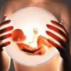 abortusztorveny