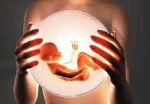 abortusztorveny