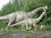 dinotemeto