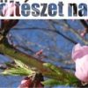 kolteszet