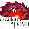 czifra logo