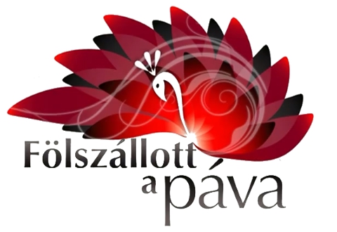 czifra logo