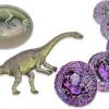 dino10