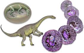 dino10