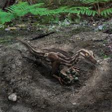 dinofeszek