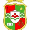 mnt-logo