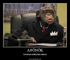 a fonok
