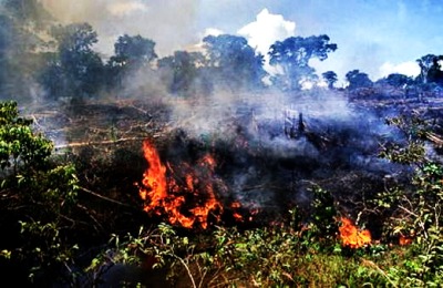 amazonas 0