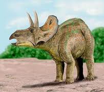 diceratops