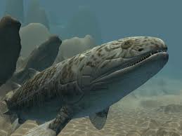 gogonasus