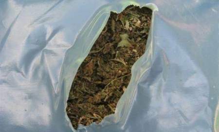 marihuana3-450x271.jpg