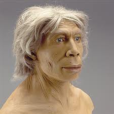neanderthalensis