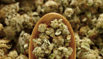 canabis_310a_fill_345x200.png