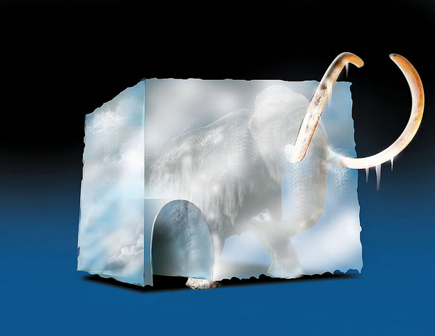 frozen mammut