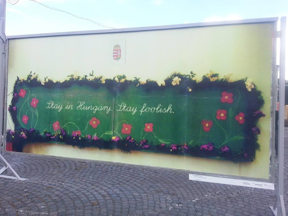 maradj magyarorszagon