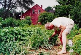 gardening