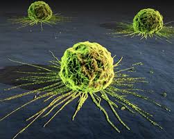 cancer4