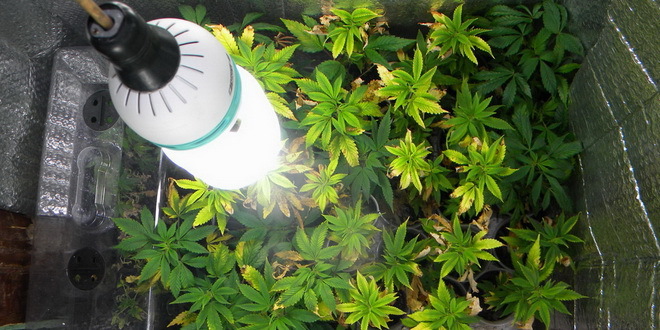 http://static.rtv.rs/slike/2013/11/13/droga_660x330.jpg