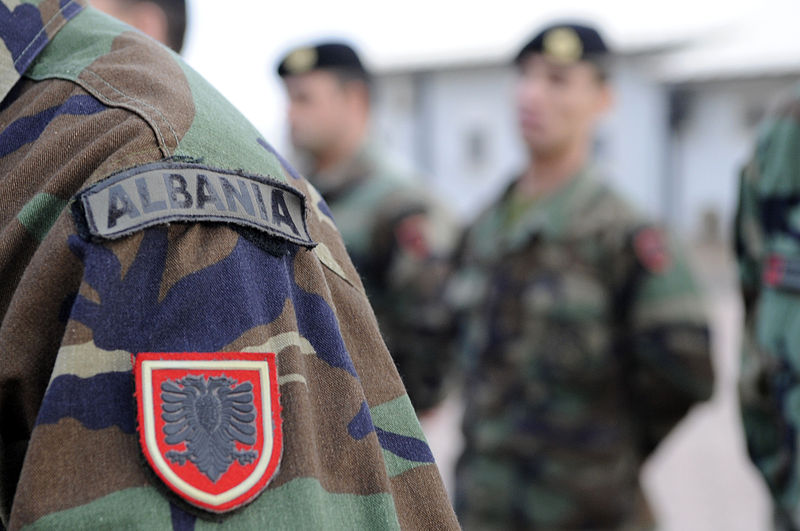800px-Albanian army badges