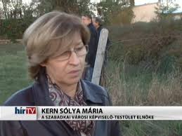 a solya