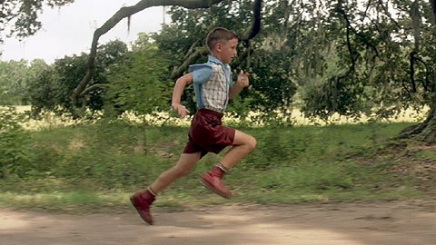forrest