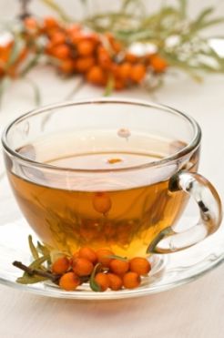 homoktovistea