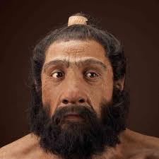 neanderthaliensis