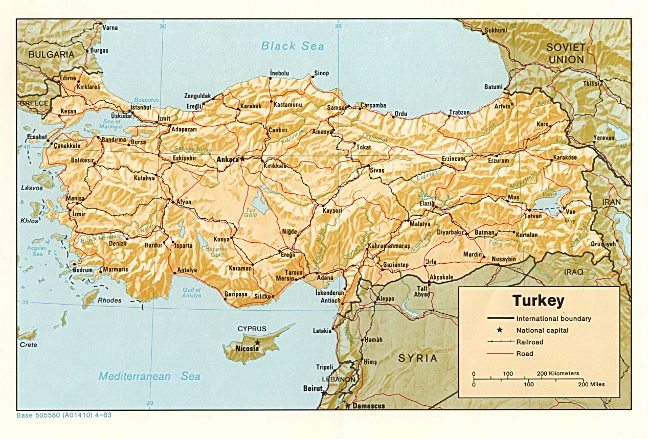 torokvizum
