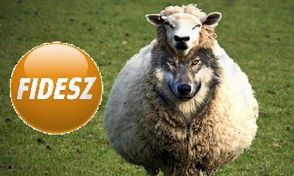 Fidesz baranyborben jo