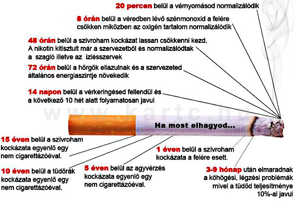 cigileszokas
