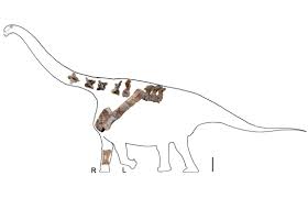 titanosaurus chine