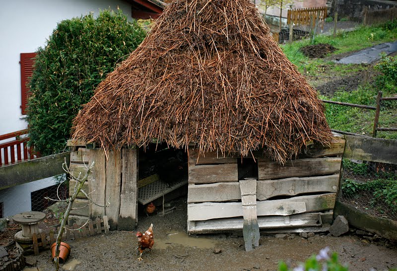 tyukol
