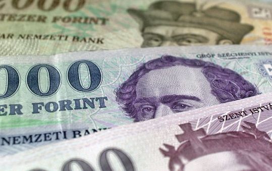http://cdn1.boon.hu/2012/01/forint3.jpg