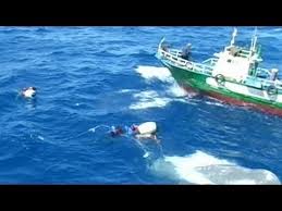 dead migrat