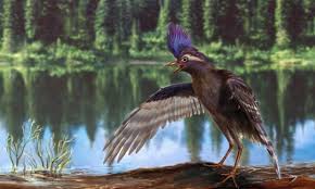 archaeornithura