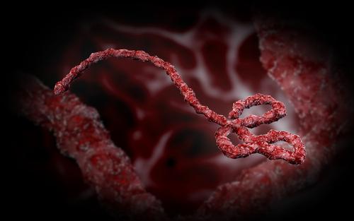 bola-virus