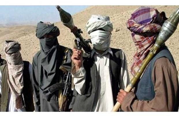 pakistan taliban1