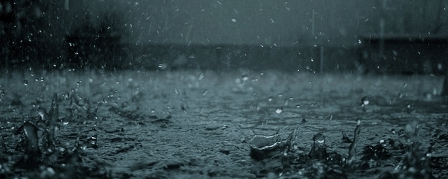 rainyday