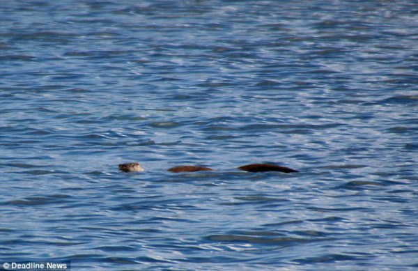 lochness