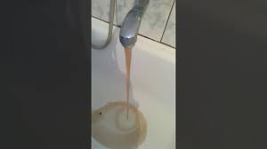 a fekalia
