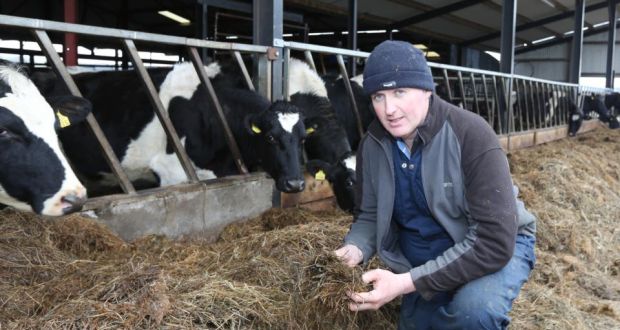 a dairy farmer